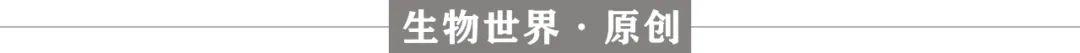 通过血液预测衰老和寿命，证实人类极限寿命为120-150年