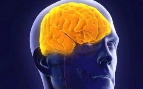 阿尔茨海默氏症药物，从Bapineuzumab到Donanemab，抗Aβ抗体的研发因何迷雾重重？