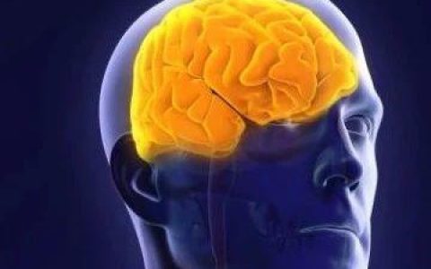 迄今最大胶质母细胞瘤“地图”，丁莉团揭示致命脑瘤中起关键作用的生物图谱