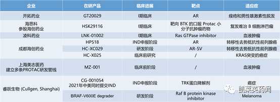 未来可期的PROTAC：全球最新研发进展