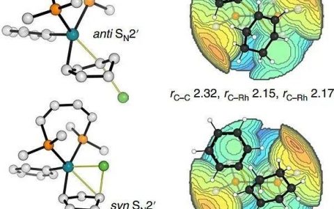 Nat Catal:外消旋底物的不对称Suzuki偶联,选择性从何而来?