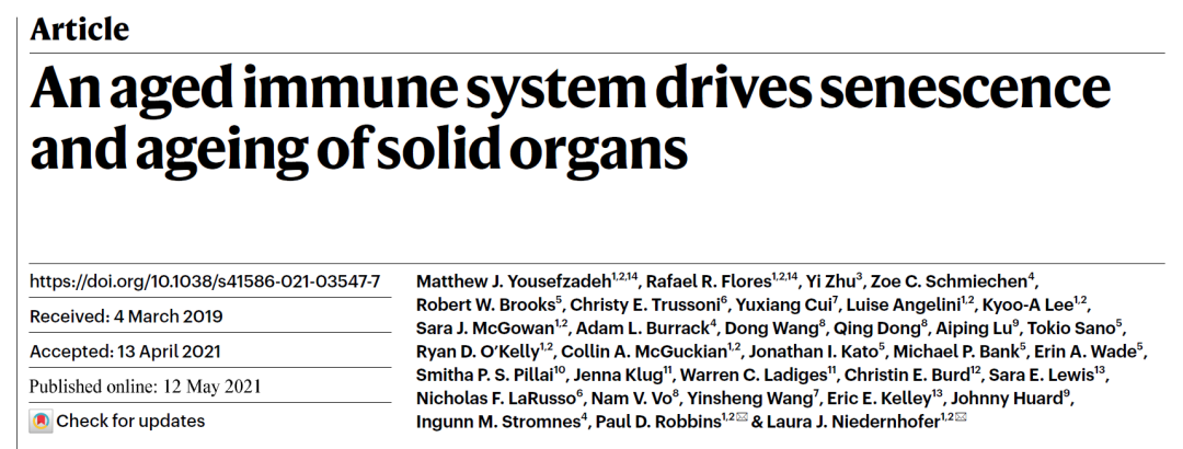 Nature重磅发现：免疫细胞的衰老会加速人体全面衰老，为延缓衰老找到新方向