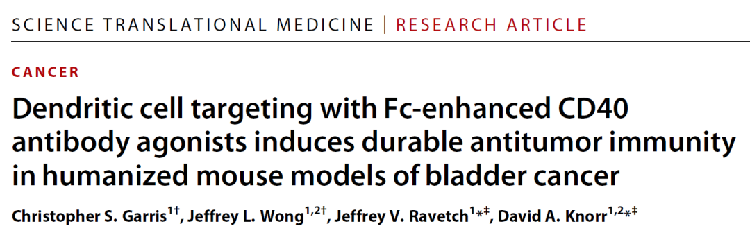 Science子刊：解决毒性问题，Fc优化的CD40激动性抗体可诱导持续性抗肿瘤反应