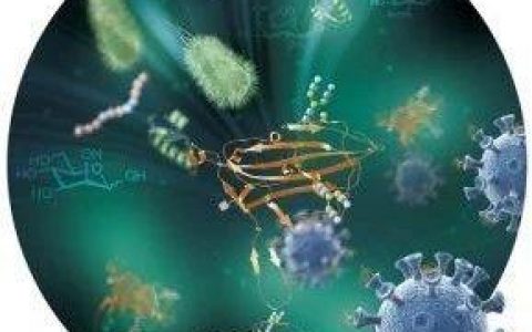 热烈祝贺！中国学者人工合成新型冠状病毒刺突蛋白糖基化受体结合域