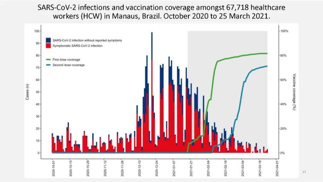 PPT分享 | WHO：国药中生、科兴生物灭活疫苗临床数据评估报告