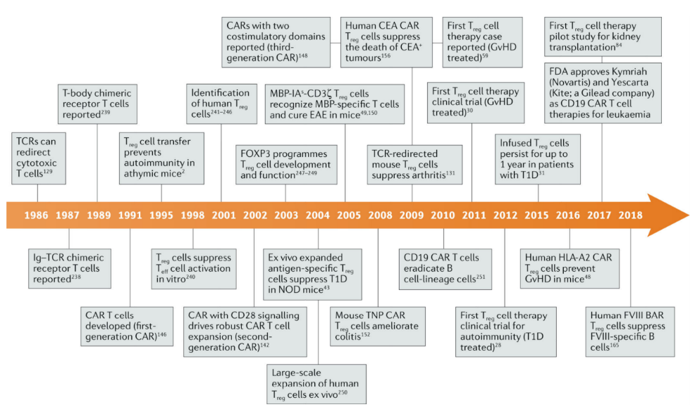 Treg的未来：CAR-Treg