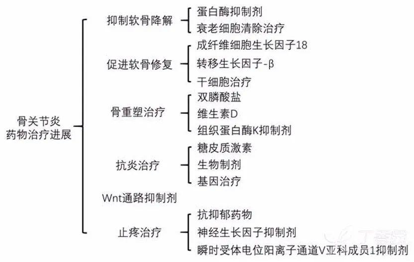 骨关节炎药物简析 | 我们将如何老去——带着疼痛的关节还是矫健的身躯？