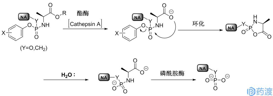 ProTide前药技术——从概念到临床