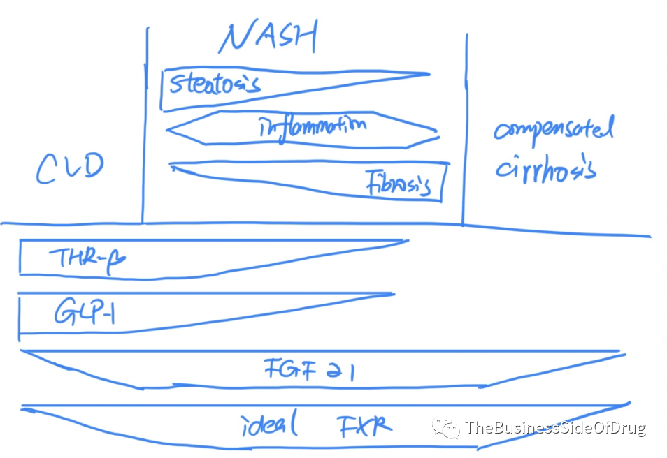 NASH专栏｜漫谈NASH - 药物治疗