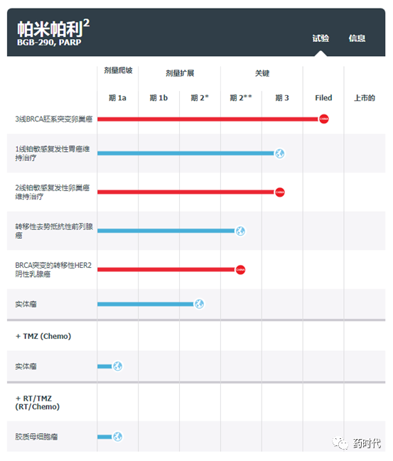 国内PARP抑制剂三足鼎立局面将被打破，百济神州帕米帕利获批在即