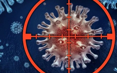 Science子刊：解决毒性问题，Fc优化的CD40激动性抗体可诱导持续性抗肿瘤反应