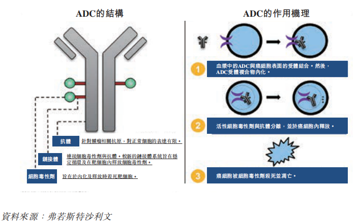 “魔法子弹”ADC药物100亿黄金赛道竞争加剧！国产追赶加速，2款已申报上市，云顶新耀、荣昌生物....