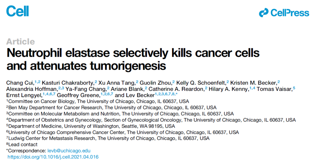 Cell重磅：广谱抗癌疗法或将诞生，中性粒细胞的这种蛋白酶能够杀死各种癌细胞，且不伤害正常细胞