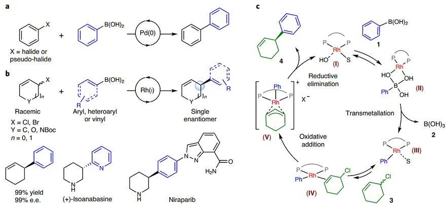 Nat Catal：外消旋底物的不对称Suzuki偶联，选择性从何而来？