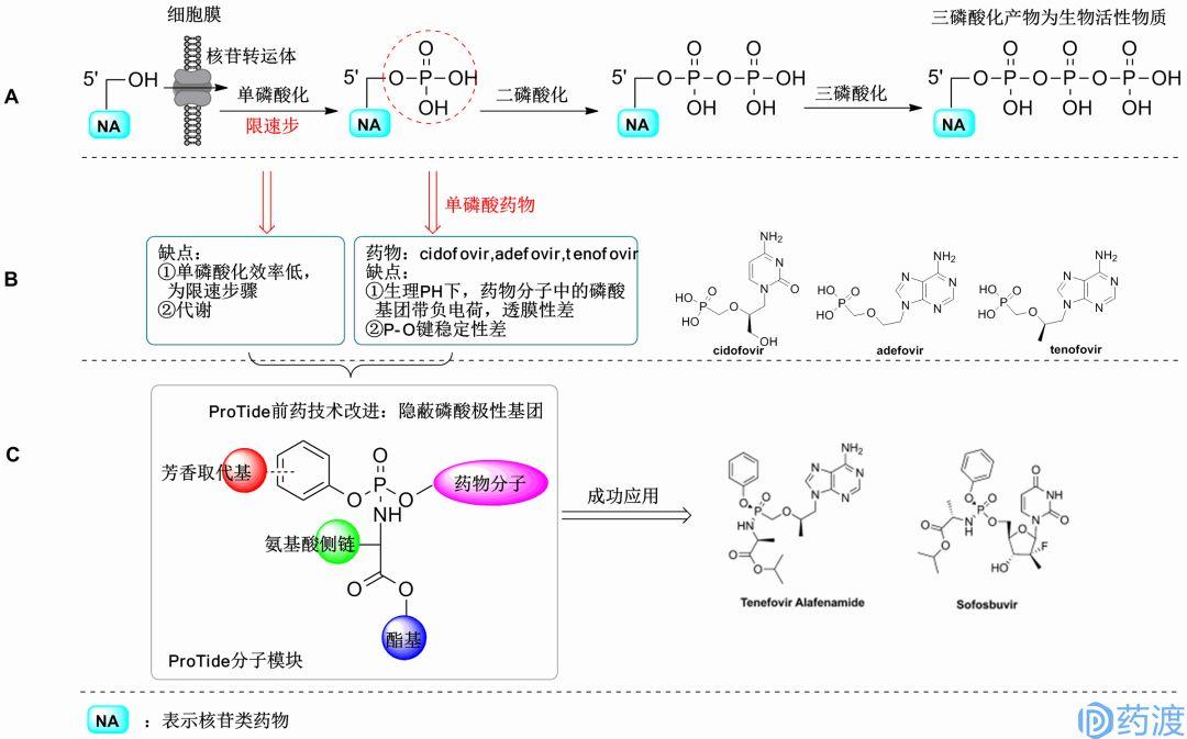 ProTide前药技术——从概念到临床