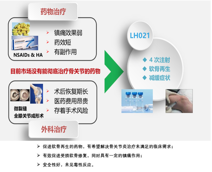 骨关节炎药物简析 | 我们将如何老去——带着疼痛的关节还是矫健的身躯？