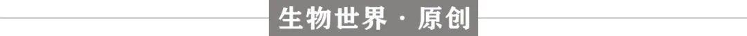 Cell重磅：广谱抗癌疗法或将诞生，中性粒细胞的这种蛋白酶能够杀死各种癌细胞，且不伤害正常细胞