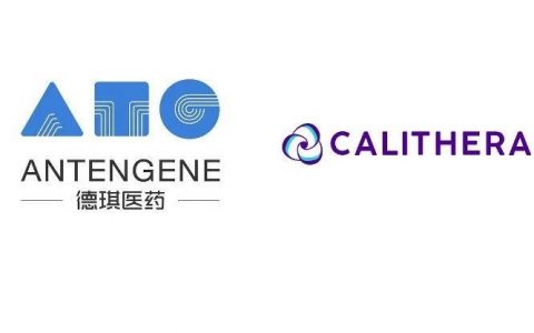 德琪医药与Calithera Biosciences达成CD73抑制剂ATG-037开发和商业化的全球独家授权协议