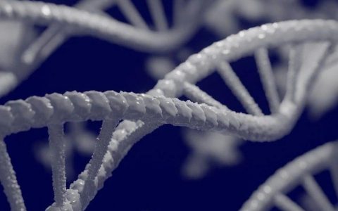 Nature Medicine重磅文章：新型CRISPR-Cas9技术能够实现完整内源性基因的替换，成功治疗β-地贫小鼠模型