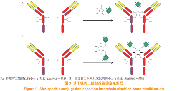 定点偶联技术在抗体药物偶联物中的应用