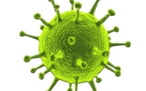 Cell子刊：HIV和新冠病毒的进化比对