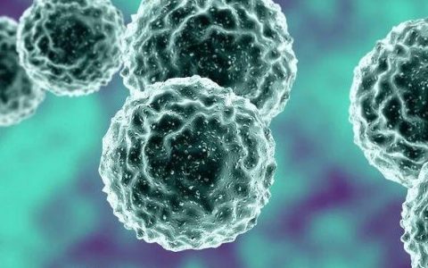 基于BCMA靶点的CAR-T及双抗的悲喜二重奏