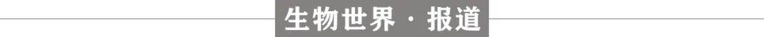 Nature重磅：全球癌症细胞治疗研发管线汇总，增长迅速、中美领跑