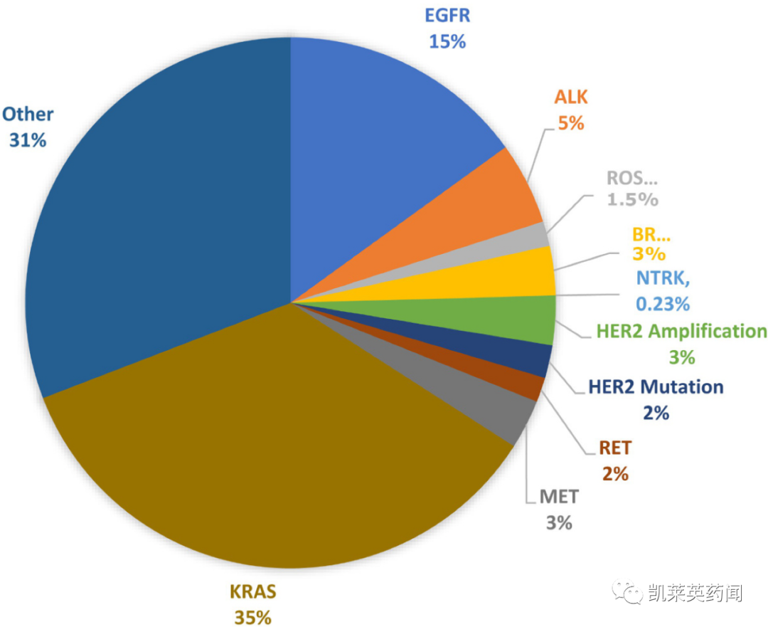 再鼎3亿美元引进adagrasib，非FIC的KRAS抑制剂为啥这么值钱？