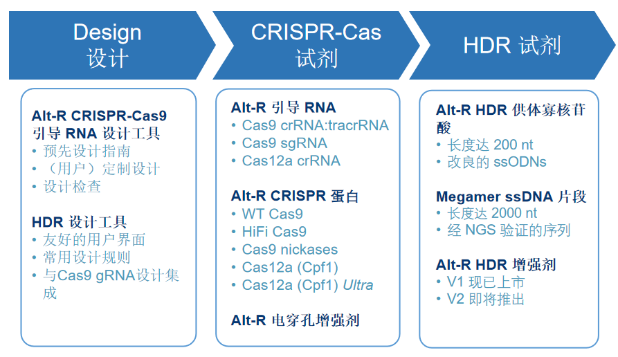 Nature Medicine重磅文章：新型CRISPR-Cas9技术能够实现完整内源性基因的替换，成功治疗β-地贫小鼠模型