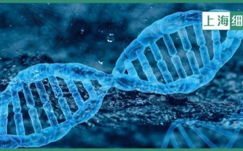 《Nature》重磅！确认治疗是否有效果，ct DNA显神通！或将革新癌症术后策略