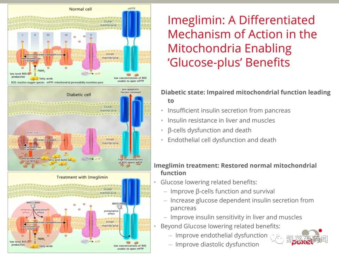 全球首次：Imeglimin在日本获批治疗2型糖尿病，适合全部阶段