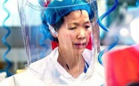 Viruses：石正丽课题组在中国蝙蝠种群中发现新型弹状病毒