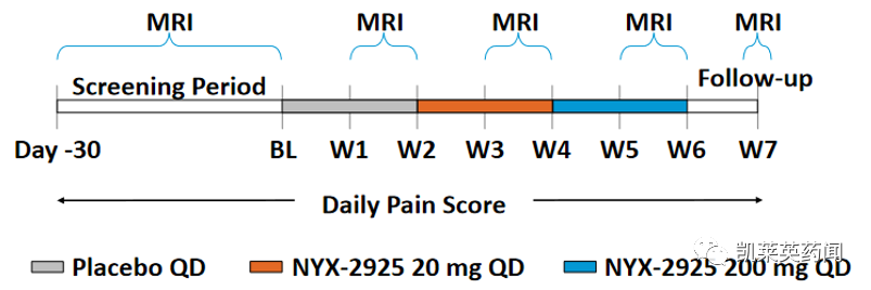 新一代止痛疗法——NYX-2925