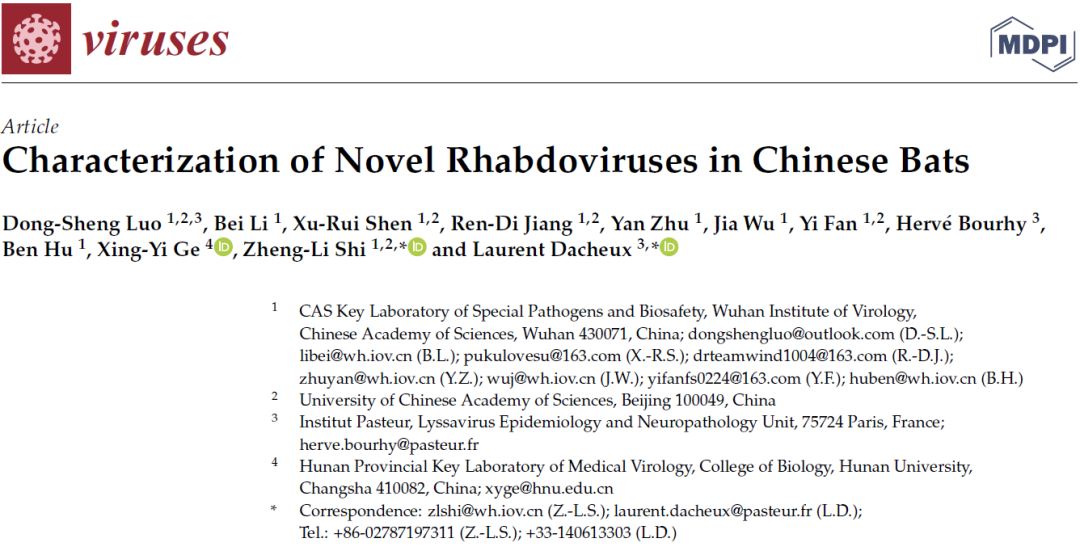 Viruses：石正丽课题组在中国蝙蝠种群中发现新型弹状病毒