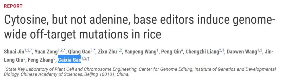 刘如谦全面升级单碱基编辑器，补齐单碱基编辑短板，为更多遗传病治疗带来新工具