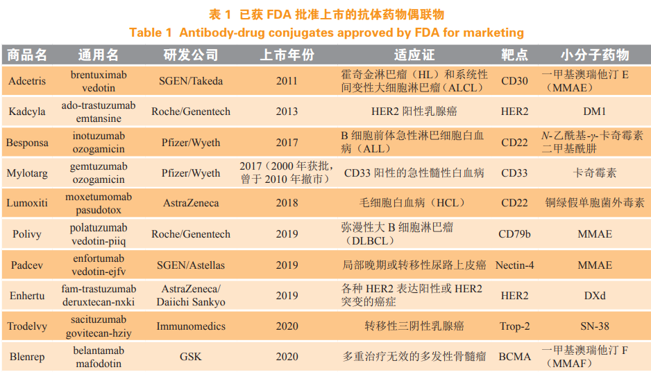 定点偶联技术在抗体药物偶联物中的应用