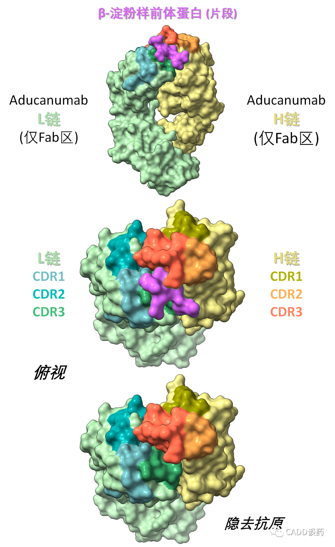 近5年获批的抗癌小分子新药和阿尔兹海默症新药Aducanumab