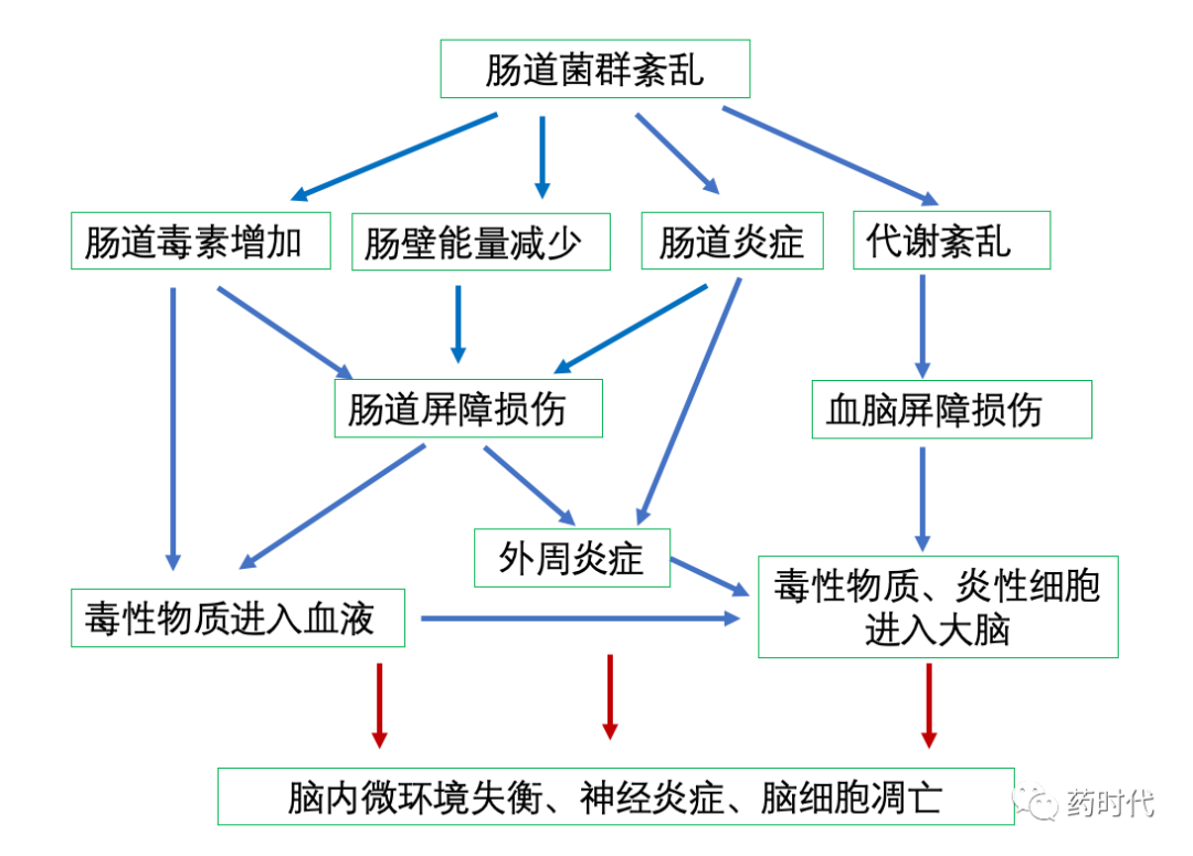 从Aducanumab到GV-971，人类能跳出阿尔兹海默症这座“五指山”吗？