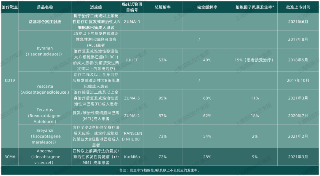 CAR-T治疗后100%缓解！即使复发再治疗依旧有效！《JCO》CAR-T疗法最新进展