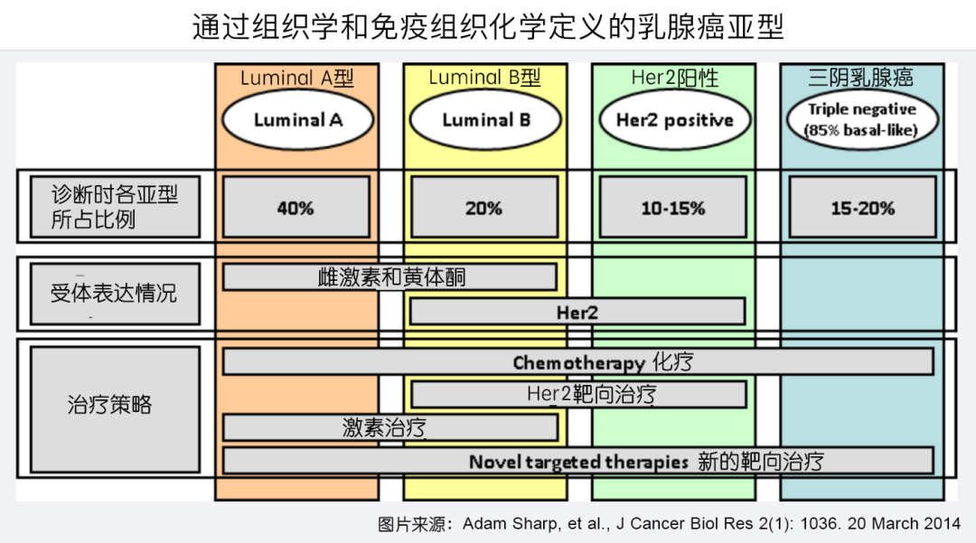 君临天下，阿贝西利联合内分泌治疗中国早期乳腺癌患者，术后复发风险大幅降低34.3%