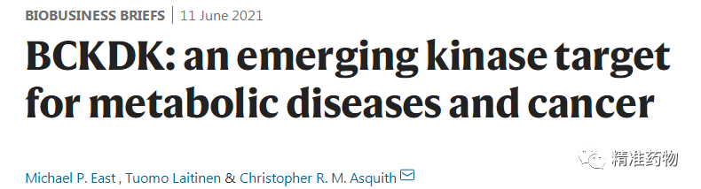 【nature子刊】BCKDK：一个有潜力的新激酶靶标，有望用于代谢和肿瘤性疾病