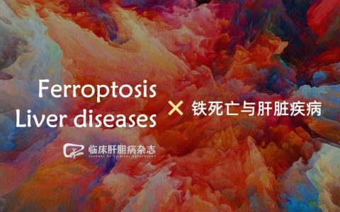 特别关注｜铁死亡与肝脏疾病
