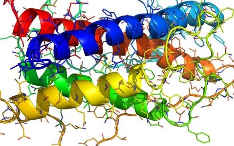 Nature重磅：毕其功于一役，AlphaFold对人类所有蛋白质进行了准确结构预测