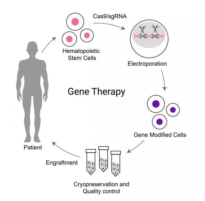 再创奇迹: 邦耀生物基因治疗地贫项目, 在广西首次实现三名患儿治愈