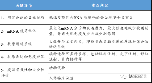 聚焦药靶：面对新冠病毒，mRNA疫苗会是未来的希望吗？