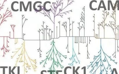 有数十年研发经验的科学家告诉你：激酶靶点是怎样筛选出来的