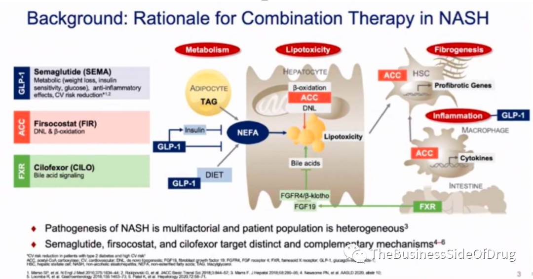 漫谈NASH - 联合用药
