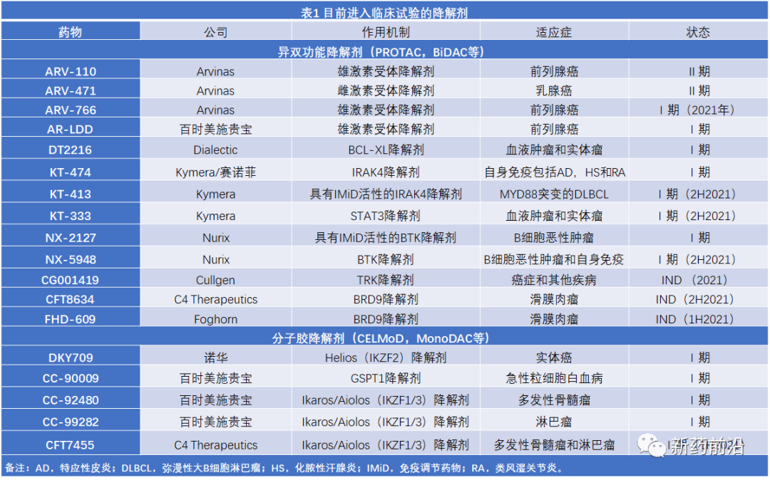 靶向蛋白降解剂：又一颠覆性创新来了