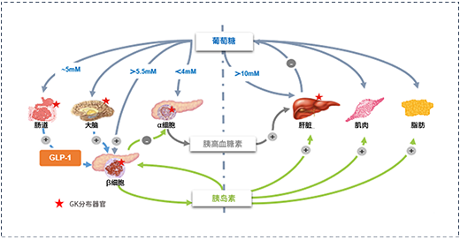 十年时间做出全球首创新药，跨国巨头都失败的路，他为何走成了？——「专访」华领陈力博士