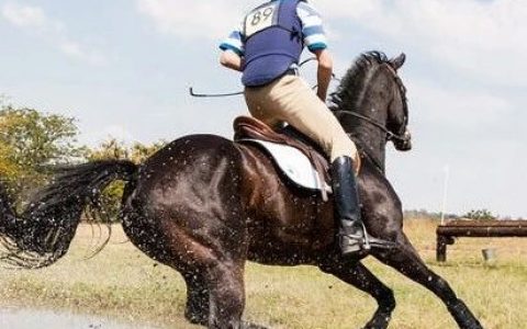 天下武功，唯快不破！国内附条件批准抗肿瘤新药全景图